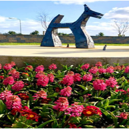 dog at roundabout for website