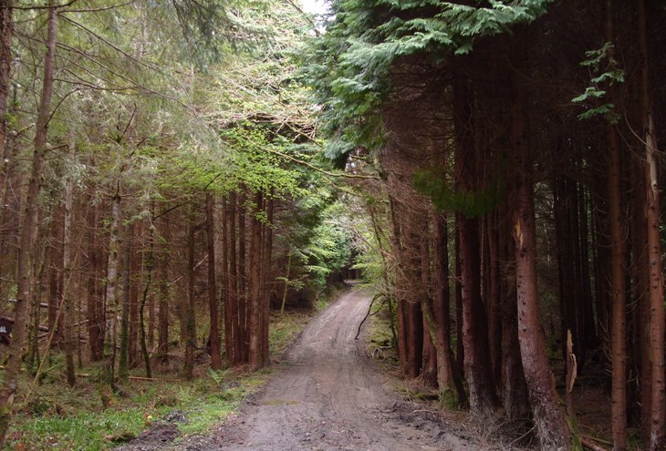 Heritage Trail 2