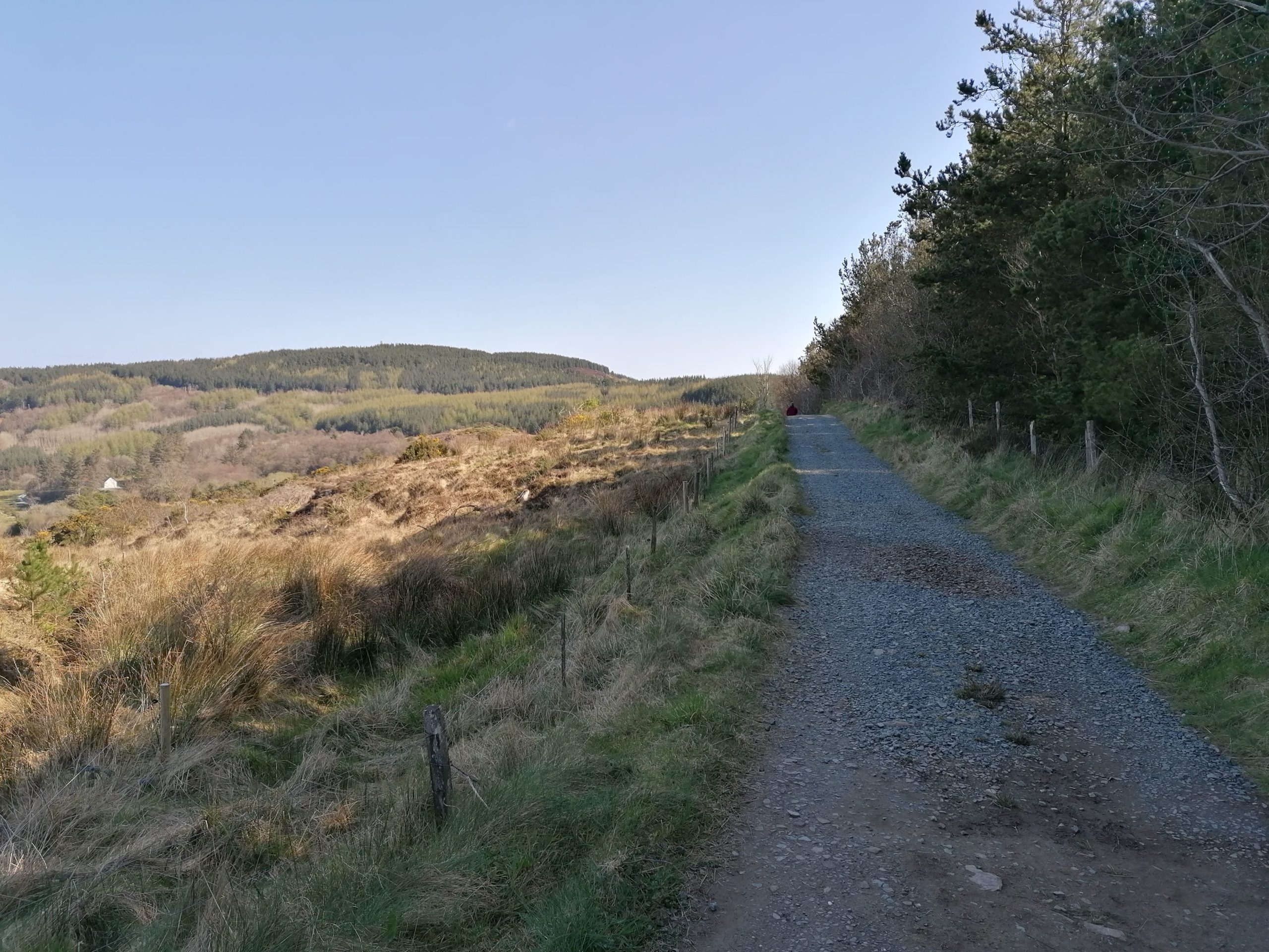 Mountain Top Walk 1